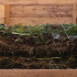 Jak by mělo kompost jámy vypadat na pozemku